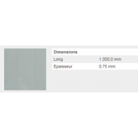  TOLE LISSE 0,75 ACIER 20X100FM 