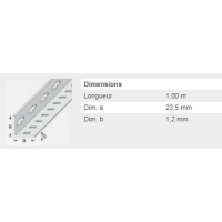  CORNIERE PERFO23,5X23,5 ZING1M 