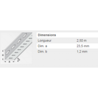  CORNIEREPERFO23,5X23,5ZING2,5M 