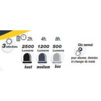  LAMPE RECHARG ORIENT LED 25W 