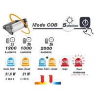  PROJECTEUR MULTI USAGE 2000LM 