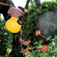  PULVERISATEUR F1 MULTI 1L 
