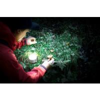 LAMPE PORTABLE RECH LED 350LM 