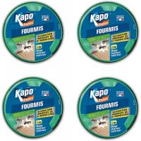  BOITE FOURMI X4 BOITES 10G 