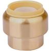  BOUCHON D12 