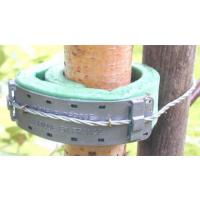  COLLIER TUTEUR MOUSSE 60 CM 