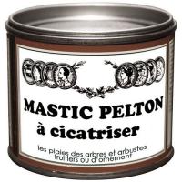  MASTIC A CICATRISER 200G 