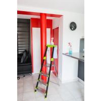  ESCABEAU JARDIN GARDEN STEP 6M 