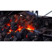  CHARBON FORGE SAC 25KG 