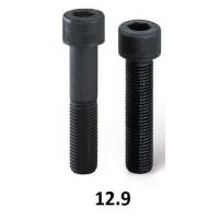  VIS CHC 12.9 BRUT 8X80 PCE 