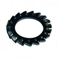  RONDELLE EVENTAIL BRUT D12 