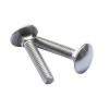  VIS TRCC INOX 8X20 