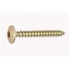  VIS PENT TRL TORX ZB 6X25 