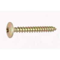  VIS PENT TRL TORX ZB 6X30 