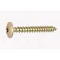  VIS PENT TRL TORX ZB 6X50 