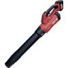  SOUFFLEUR BAT 20V 1BAT 6AH 
