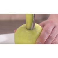  VIDE POMME 
