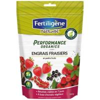  ENGRAIS FRAISIER 700G 