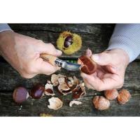  COUTEAU OPINEL N�7 CHATAIGNE 