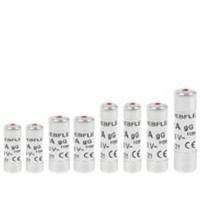  ASSORTIMENT FUSIBLE A VOYANT 