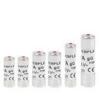  ASSORTIMENT FUSIBLE A VOYANT 