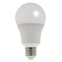  AMPOULE LED STD UNIT 