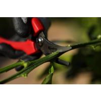  SECATEUR T900 ACIER SK5 TREMPE 