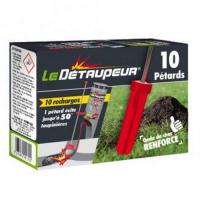  RECHARGE DETAUPEUR 10 PETARDS 