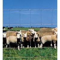  GRILLAGE URSUS LEGER 120CM 