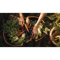  PANIER RECOLTE JARDIN 