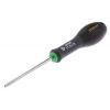  TOURNEVIS TAMPER TT15X75MM 