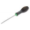  TOURNEVIS TAMPER TT25X100MM 