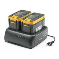  CHARGEUR BATT DBLE 48V EC415D 