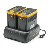  CHARGEUR BATT DBLE 48V EC415D 