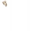 ATTACHE GOUTTIERE SABLE DEV16 