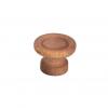  BOUTON LISERET HETRE BRUT D25 