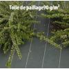  TOILE PAILLAGE 90G 1M25 X 10M 