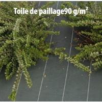 TOILE PAILLAGE 90G 1M25 X 10M 