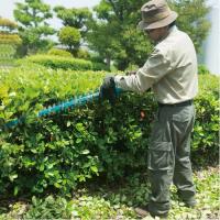  TAILLE HAIES LAMIER 75CM 18V 