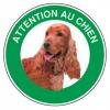  DISQUE ATTENTION COCKER SPANIE 