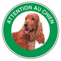  DISQUE ATTENTION COCKER SPANIE 