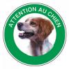 DISQUE ATTENTI EPAGNEUL BRETON 