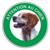  DISQUE ATTENTI EPAGNEUL BRETON 