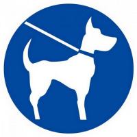  DISQUE D300 CHIEN EN LAISSE 