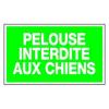  PLAQUE PELOUSE INTERDITE CHIEN 