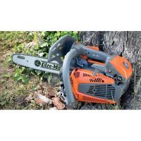  TRONCO THELA 35CM 35.1CC 1500W 
