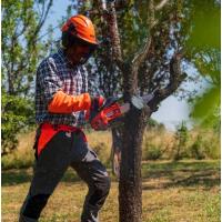  TRONCO TH ELAGAGE 25CM 25.4CC 