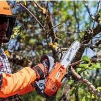  TRONCO TH ELAGAGE 25CM 25.4CC 