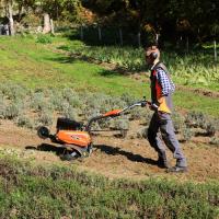  MOTOBINEUSE 3+3F 35-60-85CM 