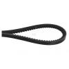  COURROIE CRANTEE 10X150 